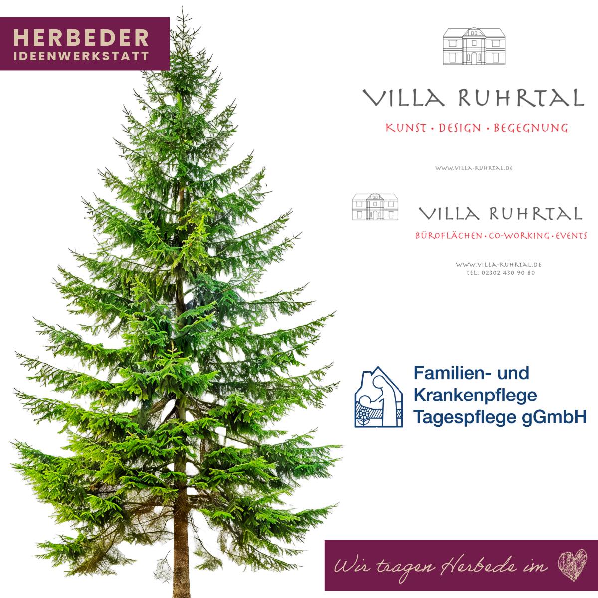 465652148 1162943491970046 7898512448434761568 n