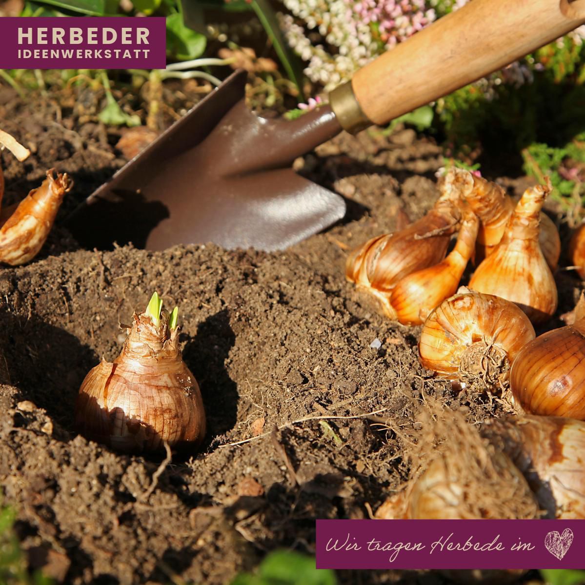 PHOTO 2024 11 25 19 07 20 2